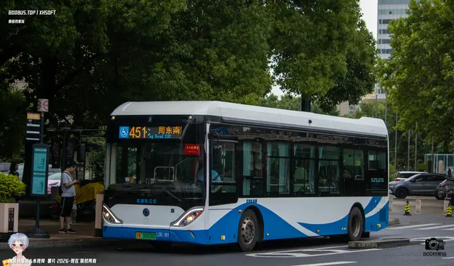 沪A 36828D