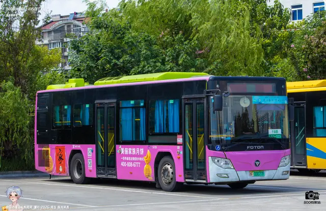 800BUS