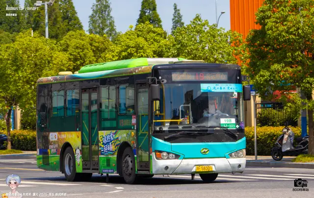 800BUS