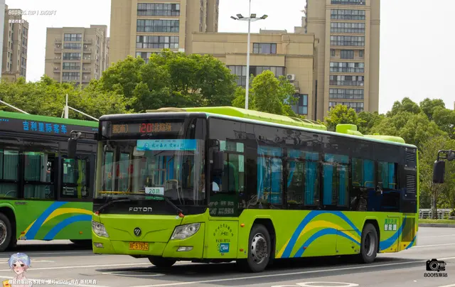 800BUS
