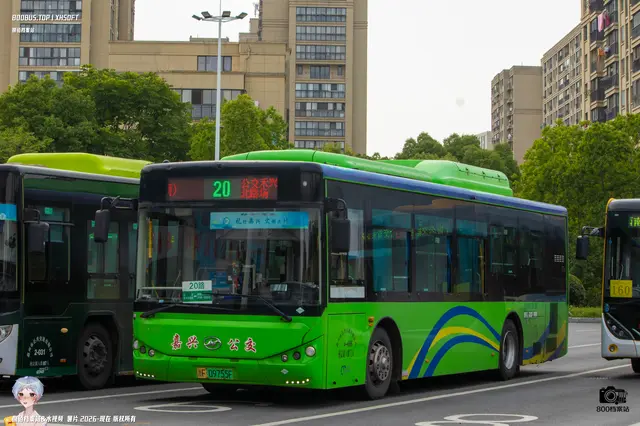 800BUS