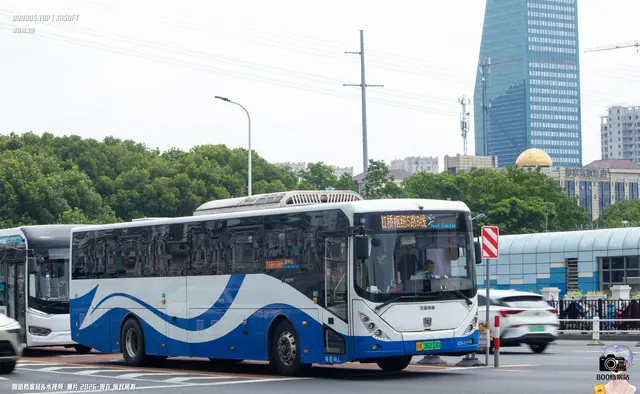 沪A 36233D