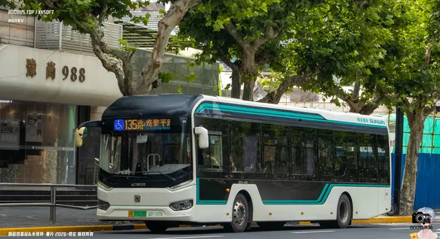 沪A 55020D
