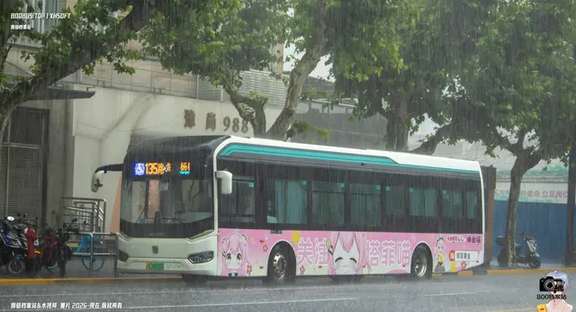 沪A 56552D