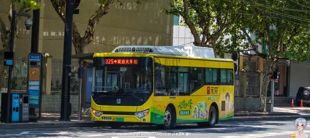 浙A 32659D