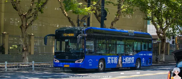 浙A 11L08