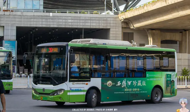 湘A 01691D