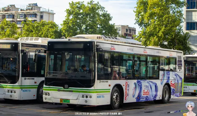 湘A 96911D