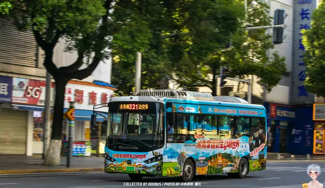 湘A 08303D