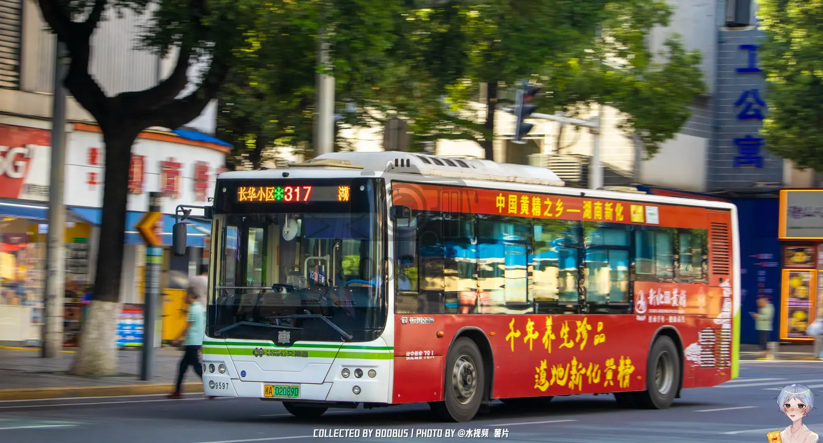 Bus Archive