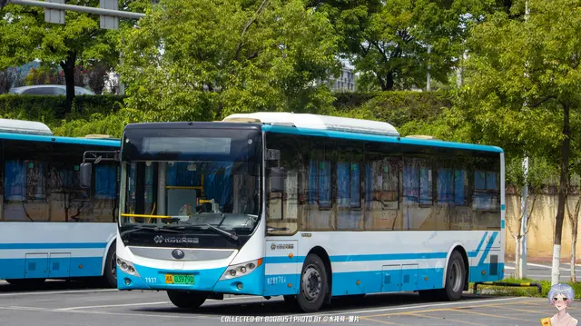 湘A 03979D