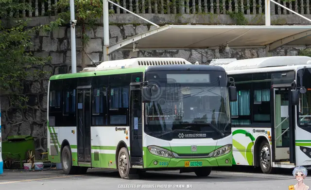 湘A 02729D
