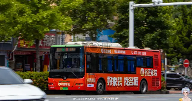 湘A 01861D