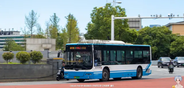 湘A 09165D