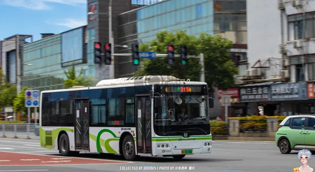 湘A 01156D