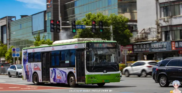 湘A 01881D