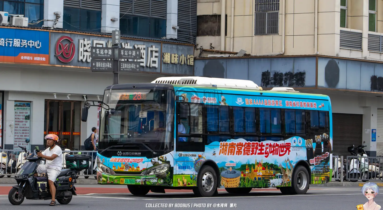 Bus Archive