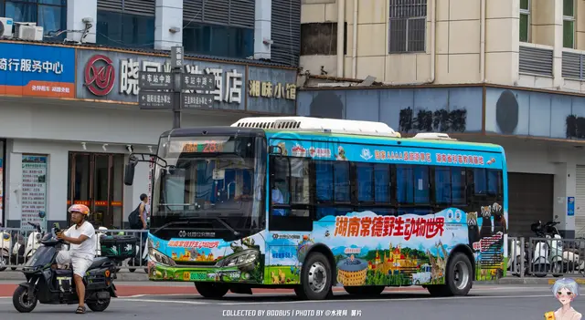 湘A 01766D