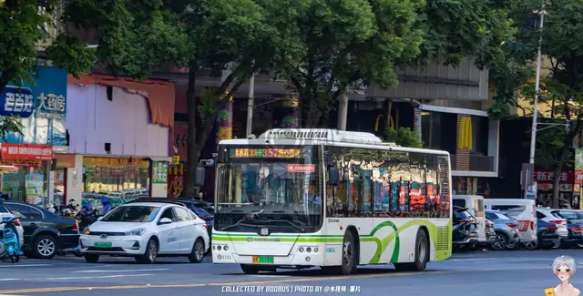 湘A 01194D