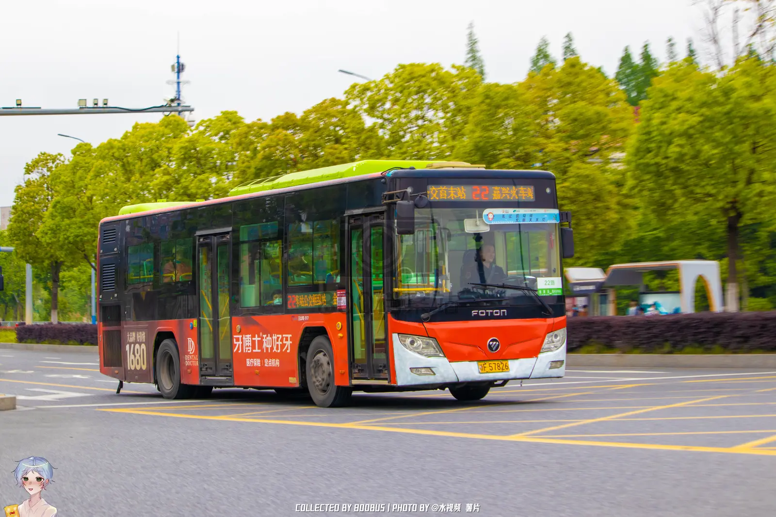 Bus Archive