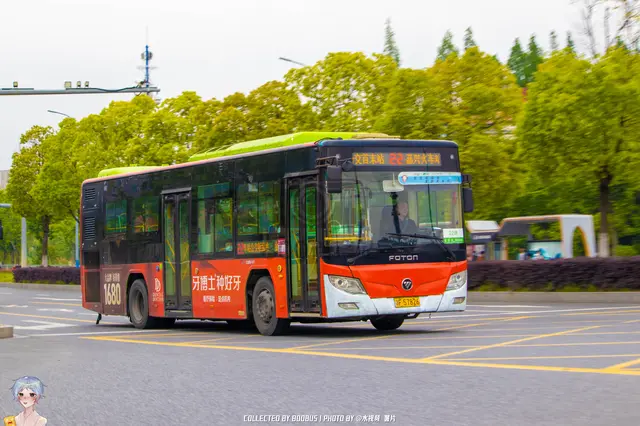800BUS