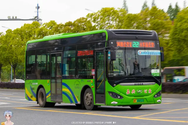 800BUS
