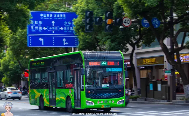 800BUS