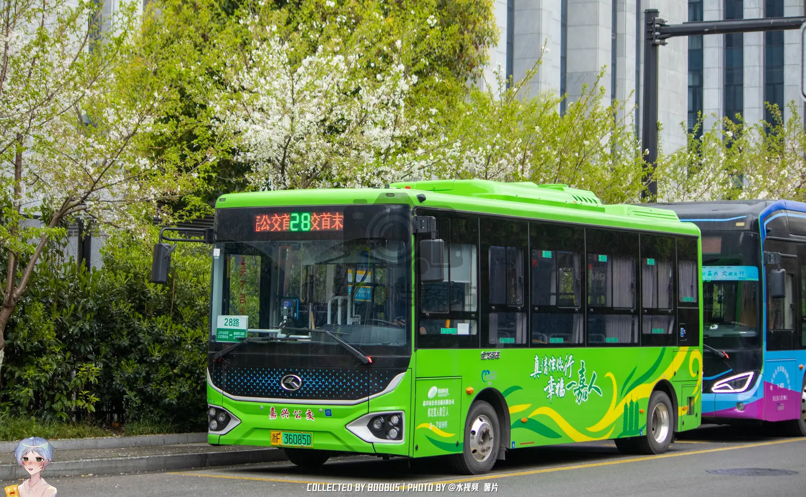 Bus Archive