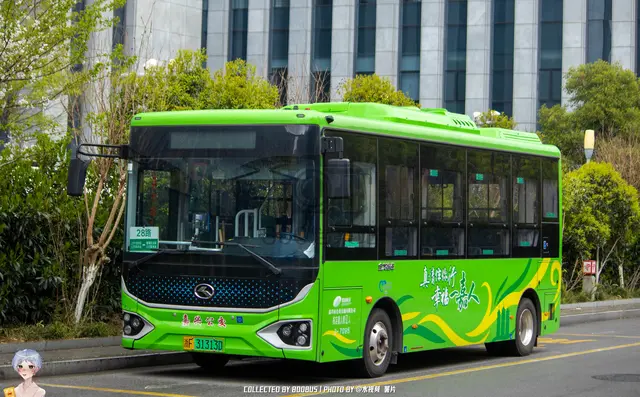 800BUS