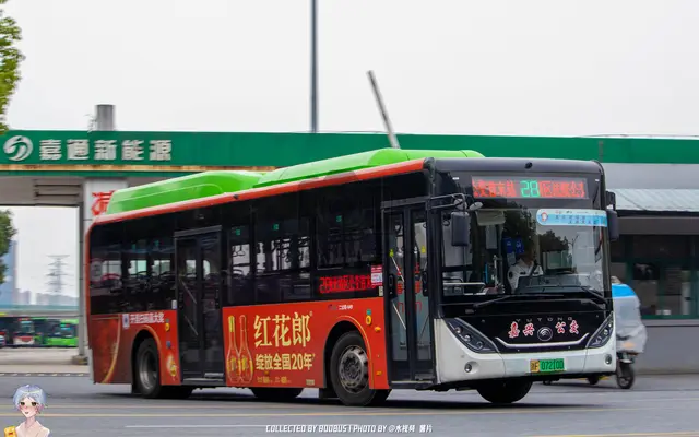 800BUS
