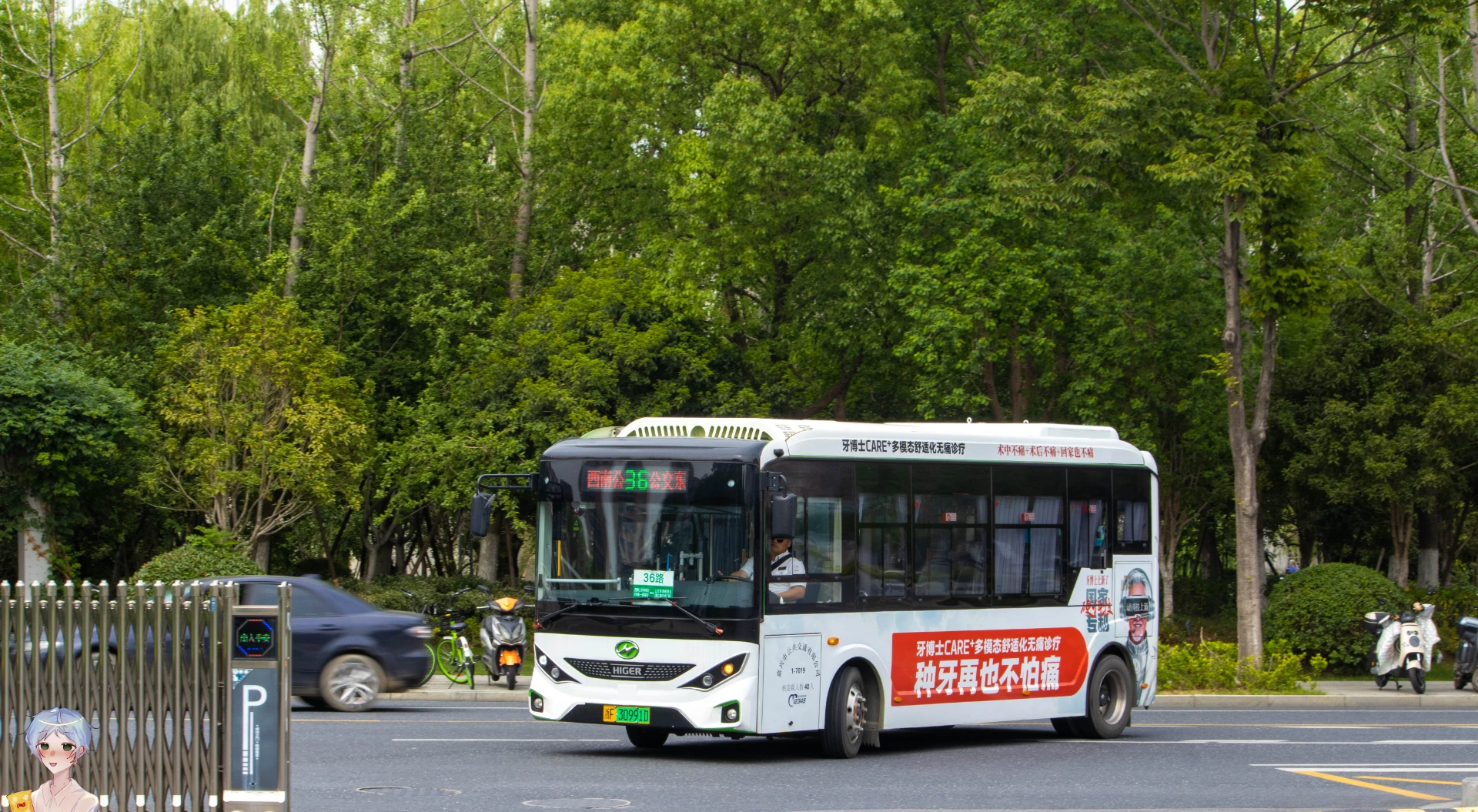 Bus Archive