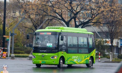 浙F 33203D