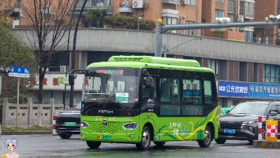 浙F 32009D