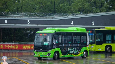浙F 35787D