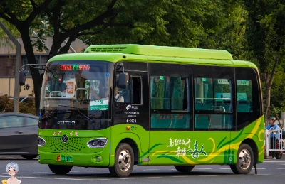 浙F 33207D