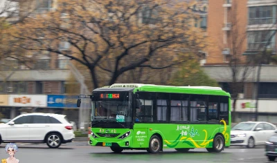 浙F 38993D