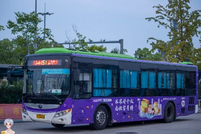 800BUS