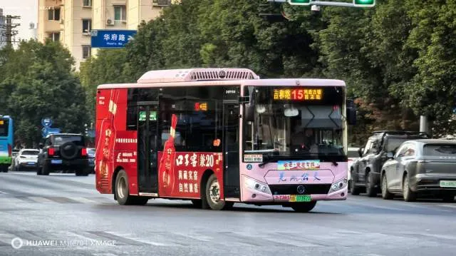 皖B·07392D