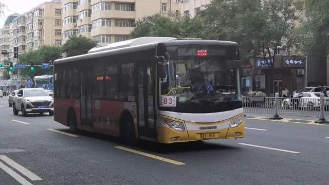 黑A L1316
