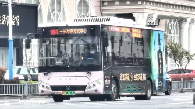 皖B 09309D