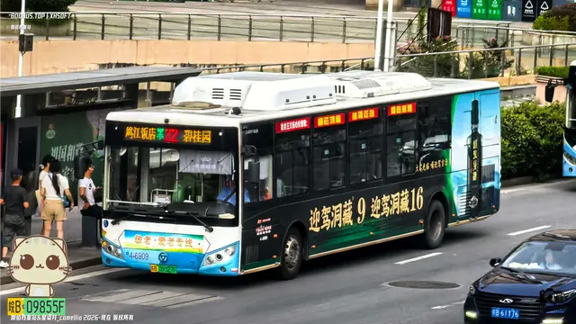 800BUS