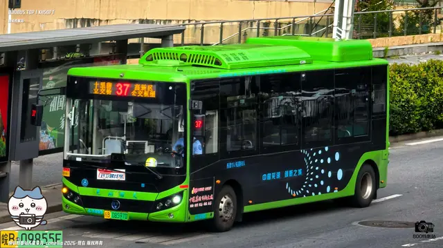 皖B 08597D