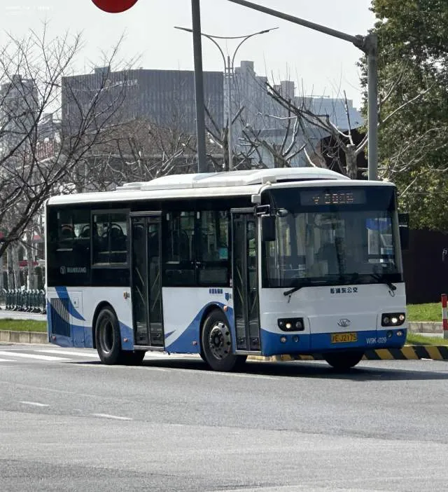 沪E·J2175/浦东杨高/W9K-029
