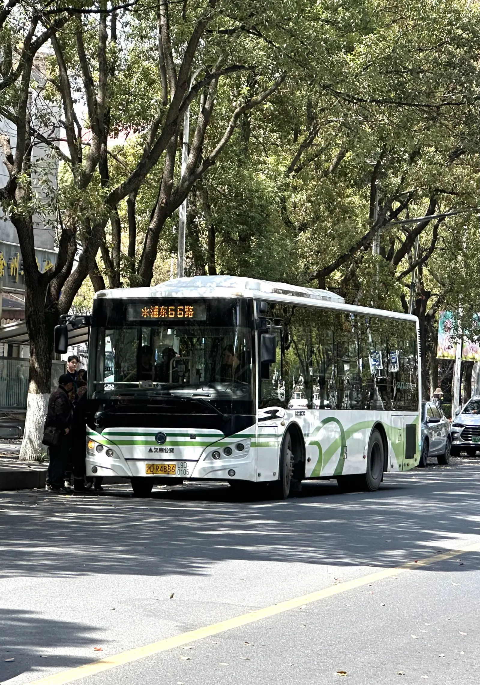 Bus Archive