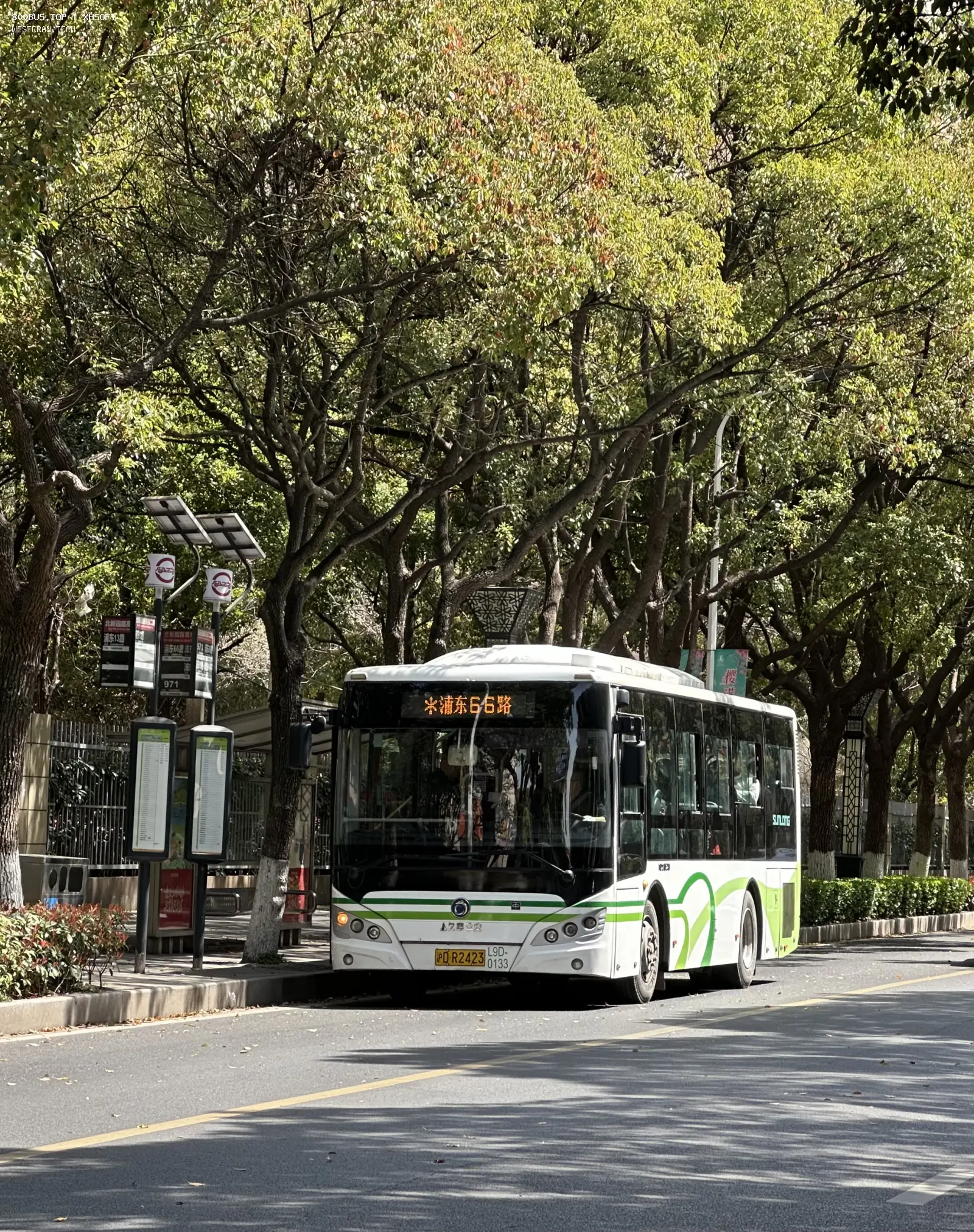 Bus Archive