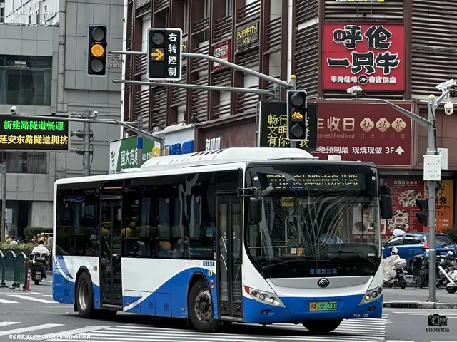 800BUS