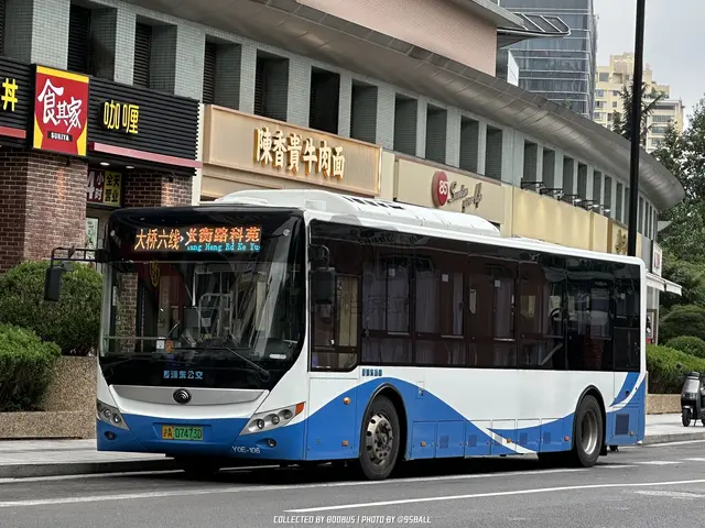 沪A 07473D