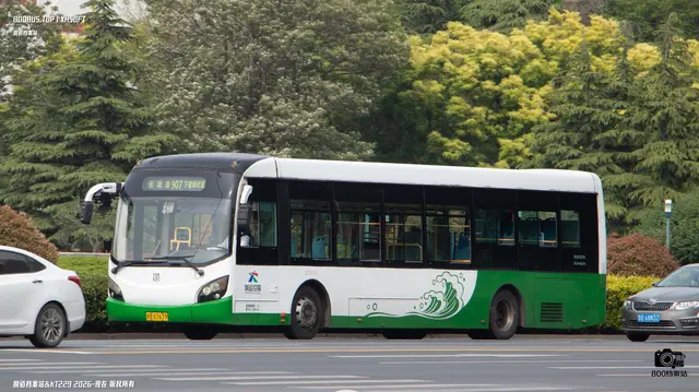 800BUS