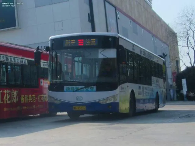 桂C.35272