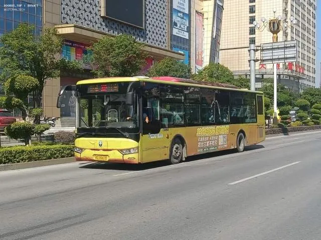 桂C.35613